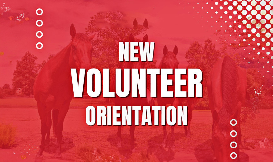 New Volunteer Orientation (1)