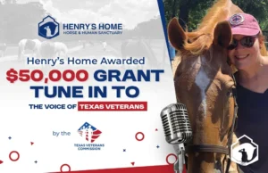 texas veterans commission grant