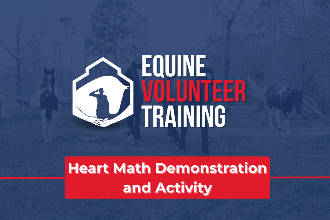 Equine Volunteer Training Heart Math Demonstration & Activity