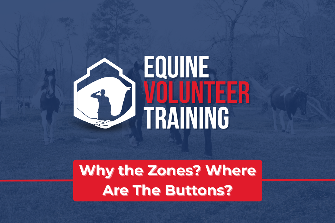 Equine Volunteer Training Why the Zones Where Are The Buttons