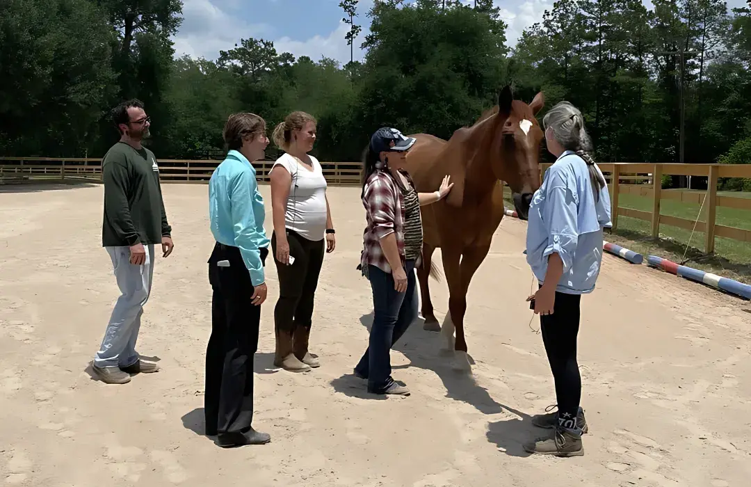 heartmath equine connection henryshome