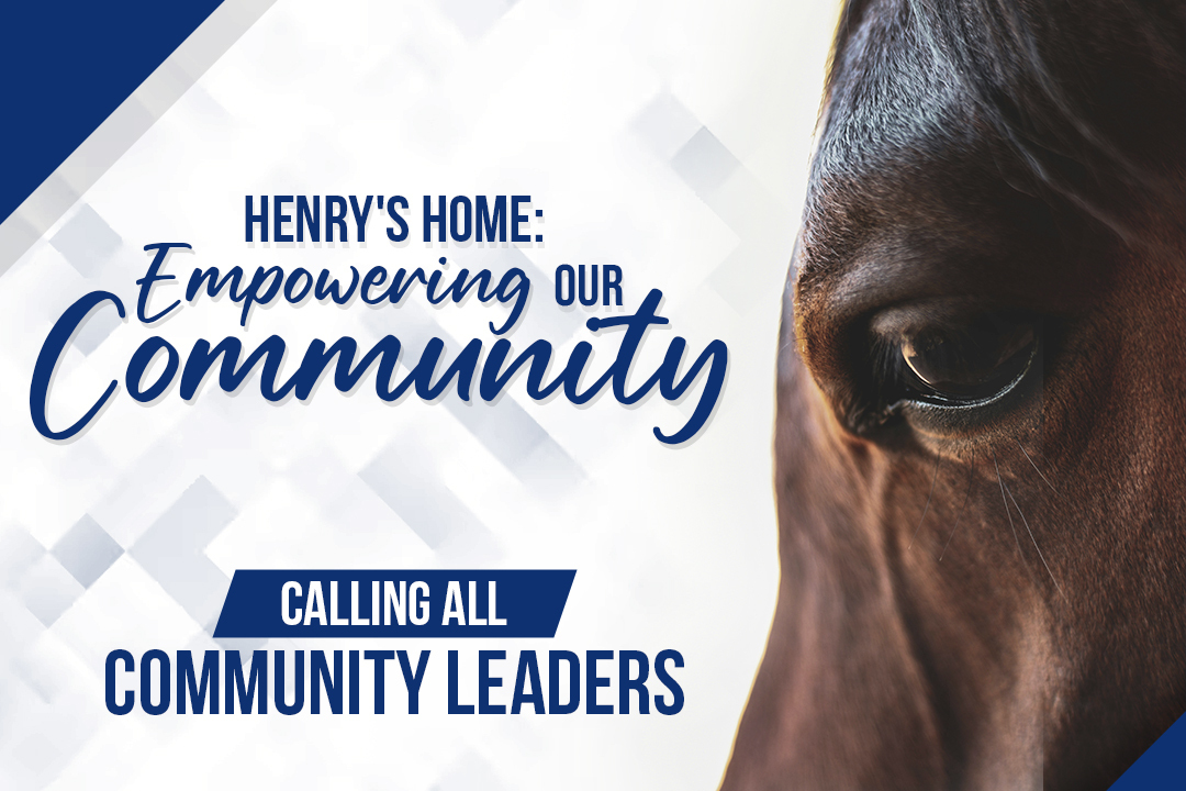 Website Banner Henry Homes