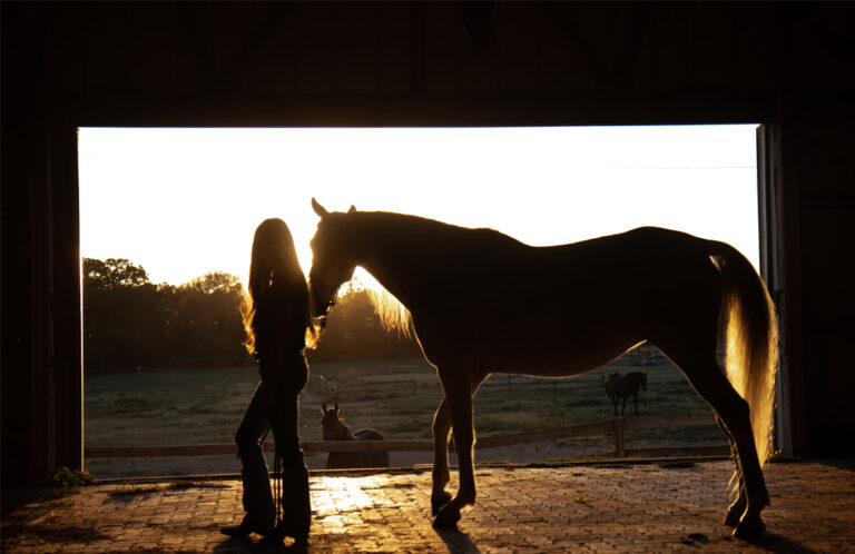 fostering emotiona resilience