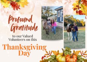 henrys home volunteer