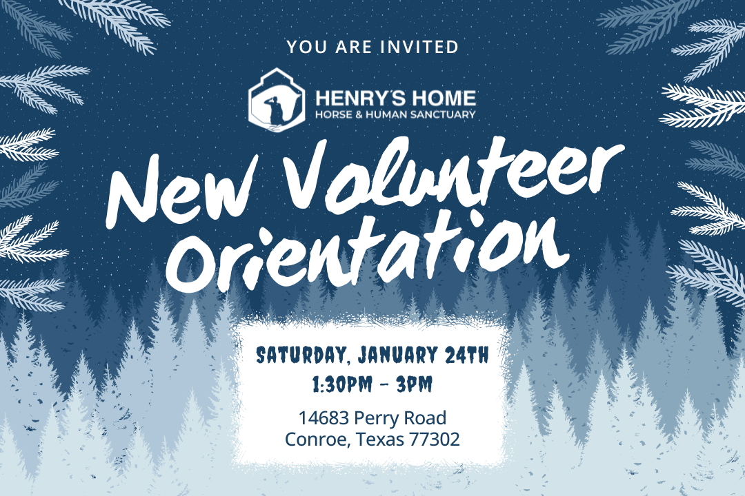 new volunteer orientation