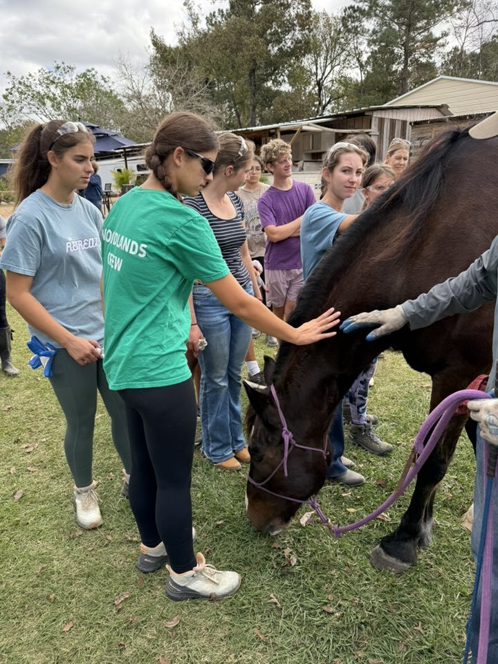 Rowing Club of The Woodands 5