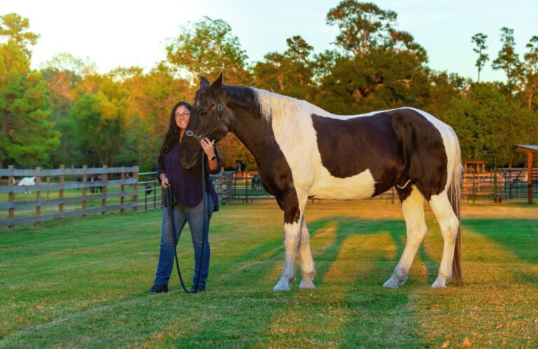 A Comprehensive Guide to Individual Volunteerism