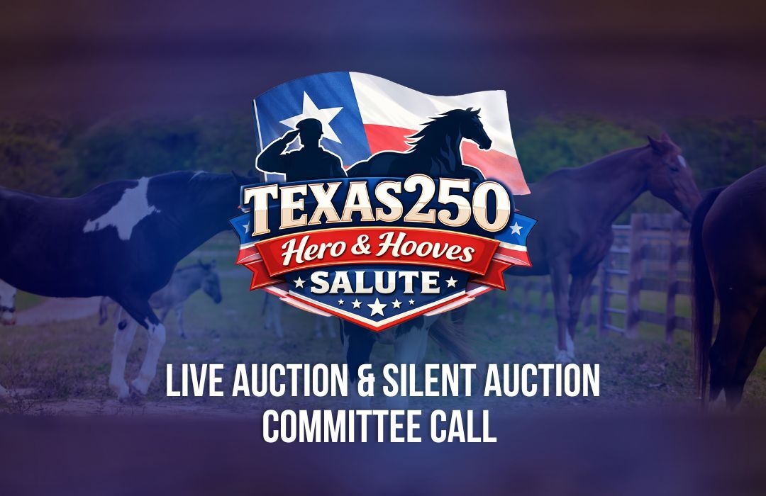 live and silent auction texas250