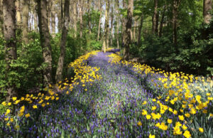 They Touched Us – Everything has Changed