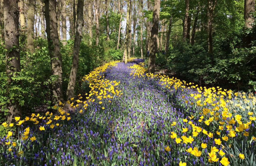 They Touched Us – Everything has Changed