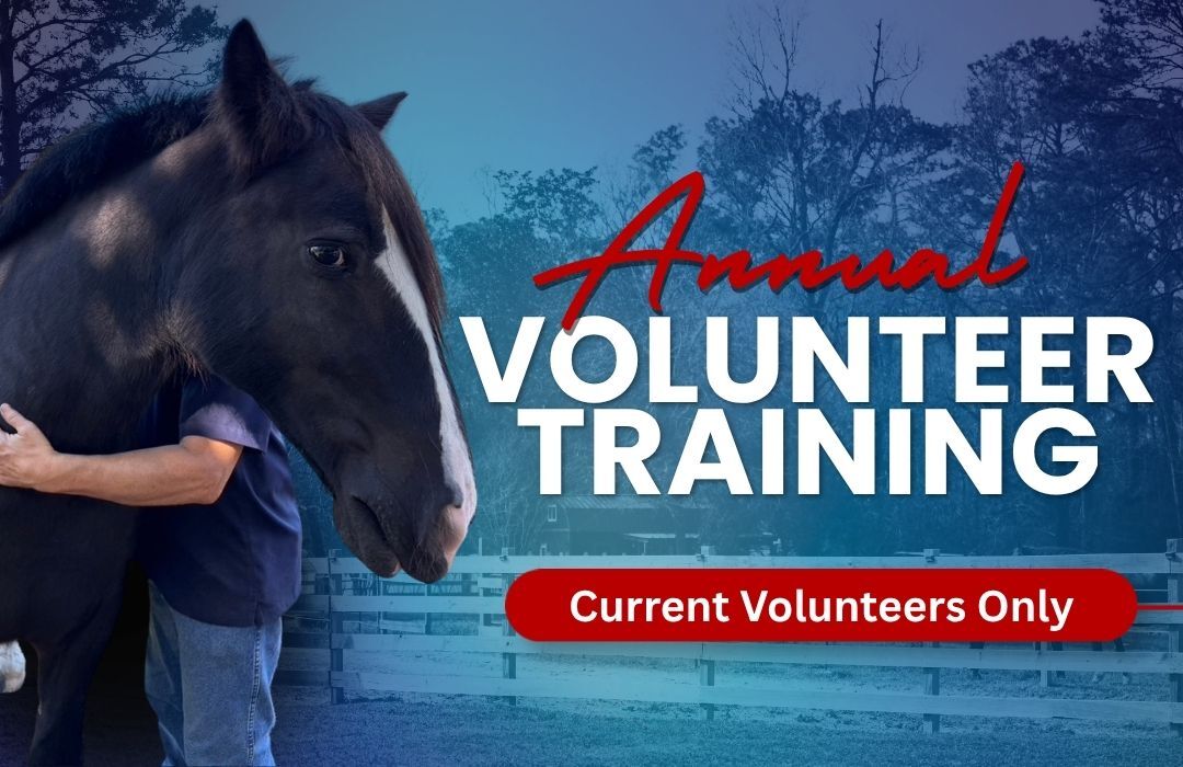 Annual Volunteer Training Website