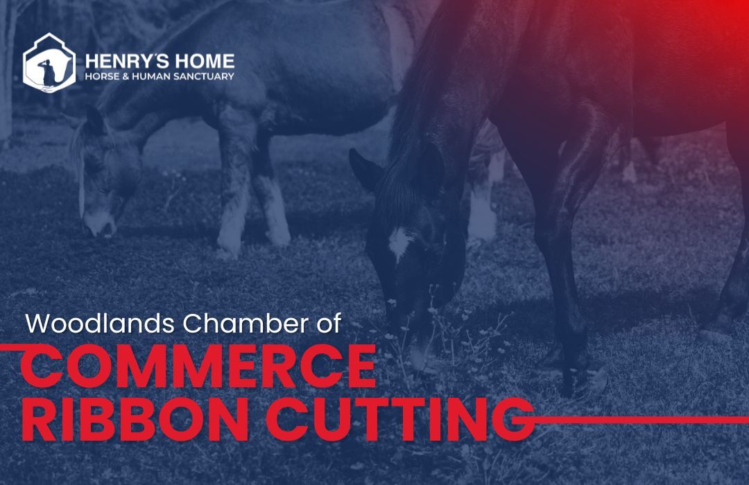 WC Commerce Ribbon Cutting