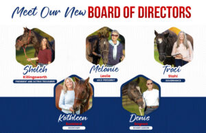board of directors henrys home
