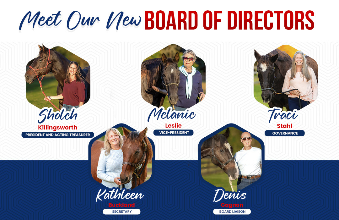 board of directors henrys home