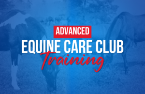 Advanced Equine Care Club Training